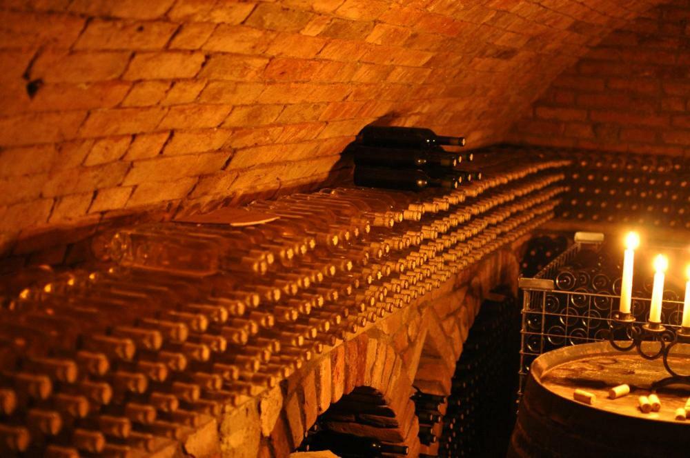Penzion A Vinarstvi Vavricek Brezi Ngoại thất bức ảnh