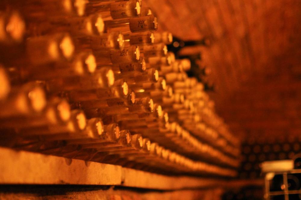Penzion A Vinarstvi Vavricek Brezi Ngoại thất bức ảnh
